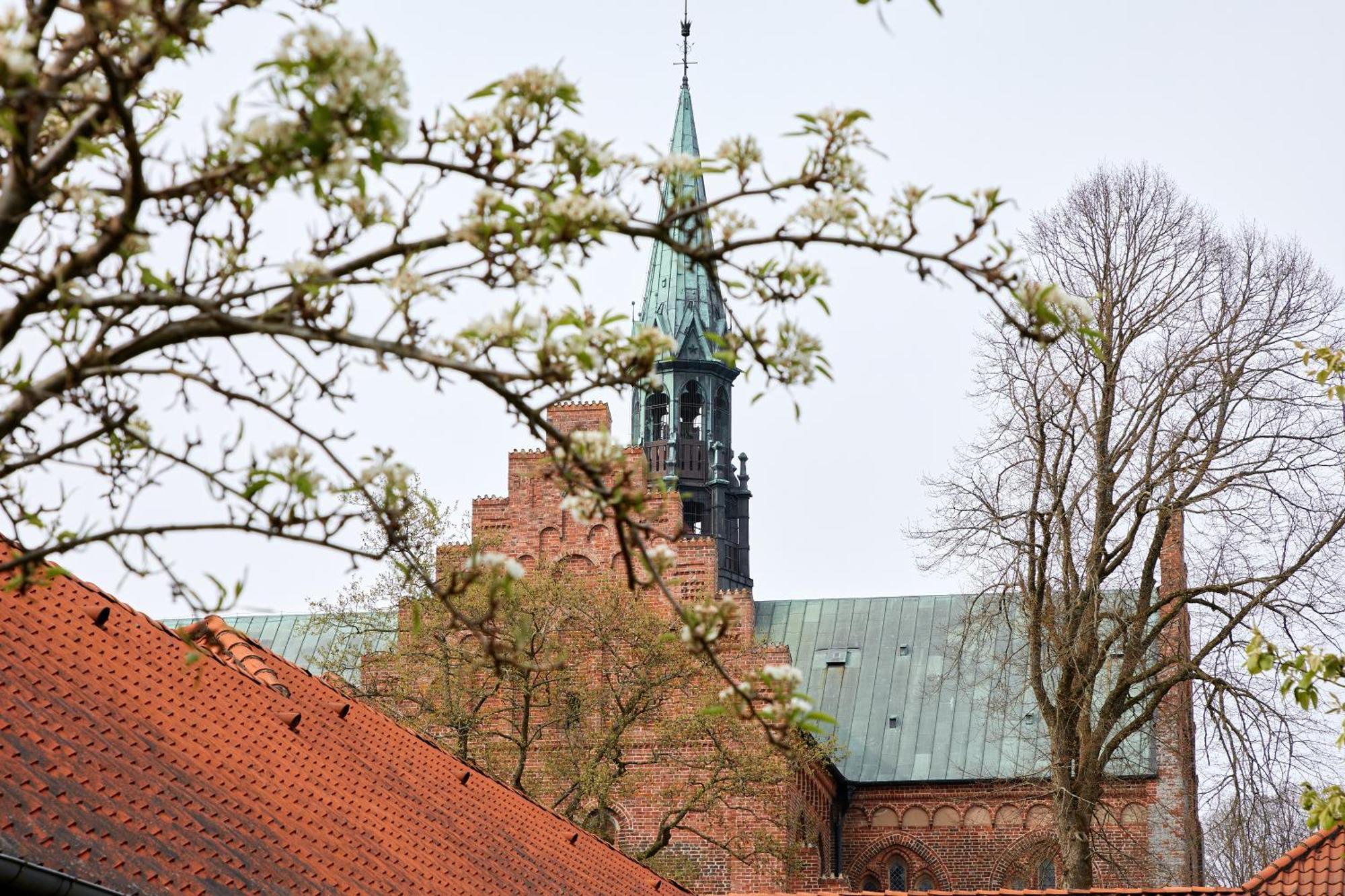 Logumkloster Refugium Exteriör bild